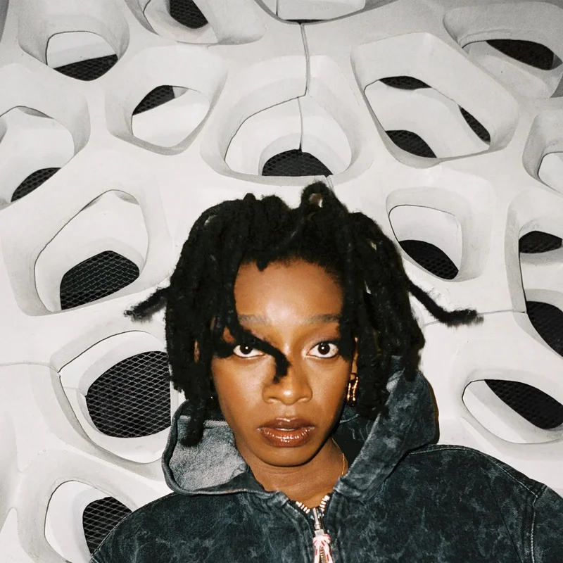 Little Simz - No Thank You 2LP