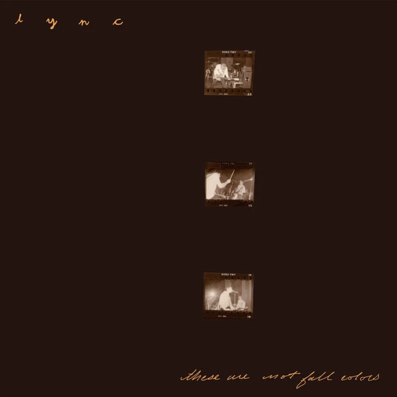 Lync - These Are Not Fall Colors 2LP
