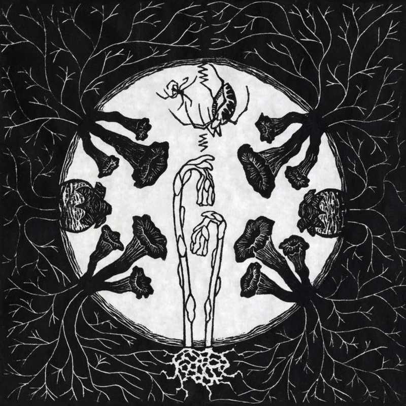 Magic Tuber Stringband - Tarantism LP