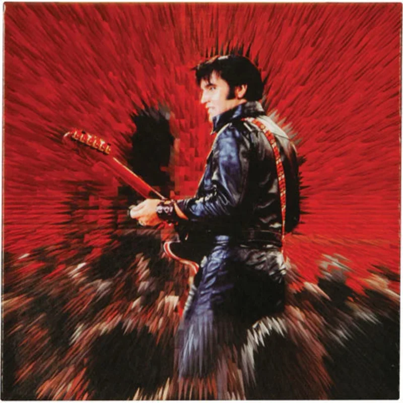 Magnets: Elvis Presley Shine