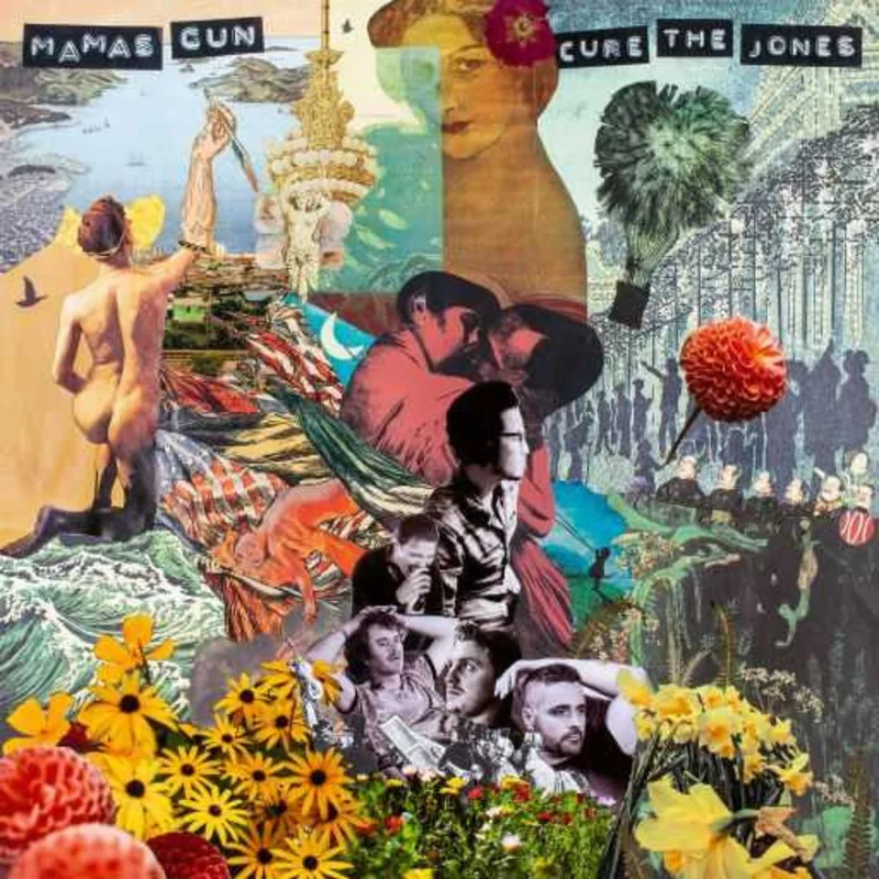 Mamas Gun - Cure The Jones (Vinyl)