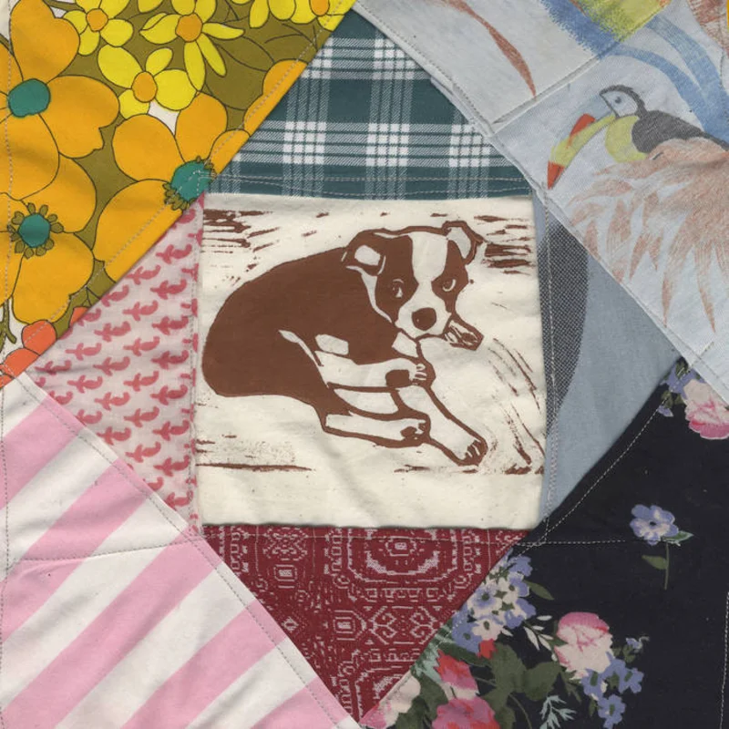 Mapache - Roscoe's Dream 2LP