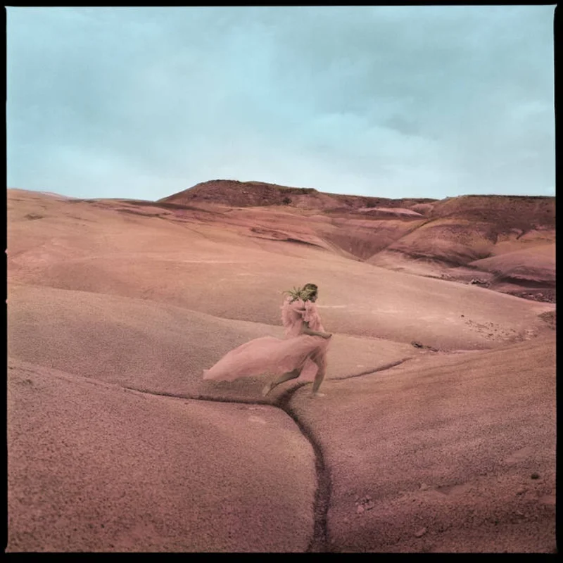 Margo Price - Strays LP