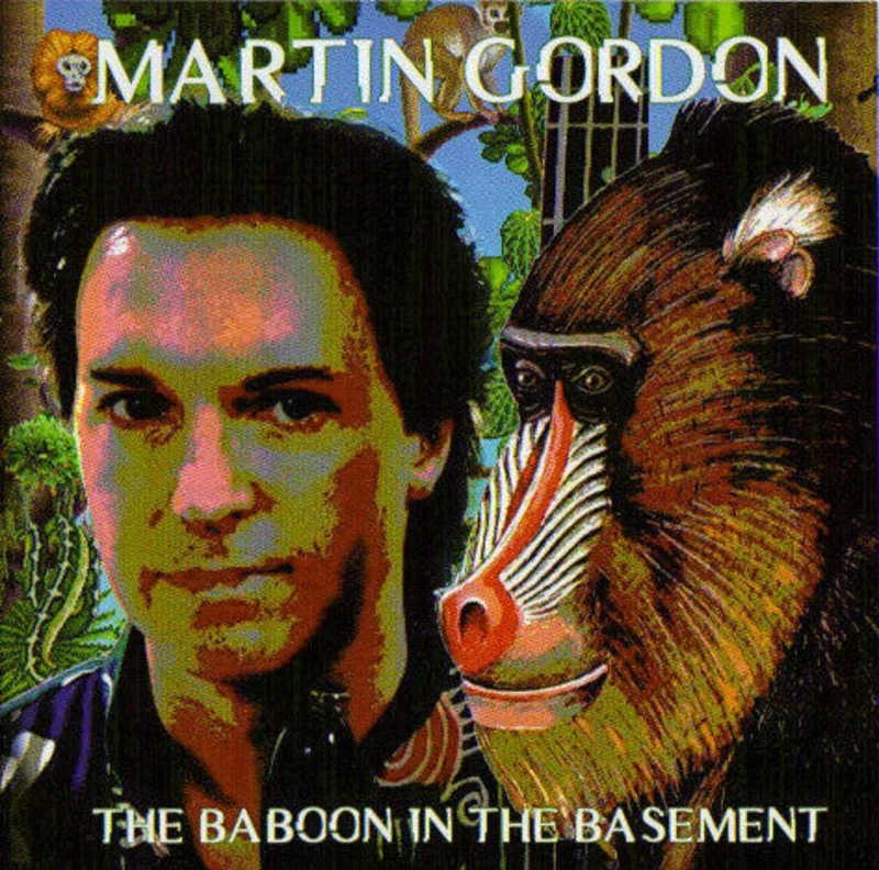 Martin Gordon - The Baboon In The Basement (CD)