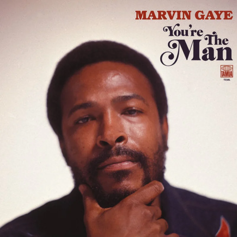 Marvin Gaye - You're the Man 2LP