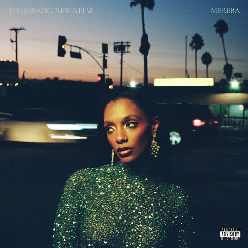 Mereba - The Breeze Grew A Fire LP