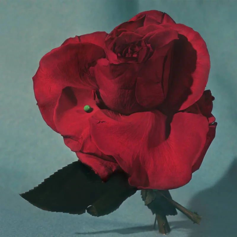 Metz - Up on Gravity Hill LP