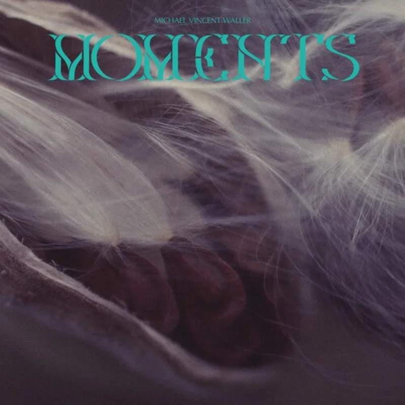 Michael Vincent Waller - Moments 2LP