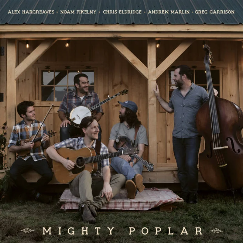 Mighty Poplar - Mighty Poplar LP