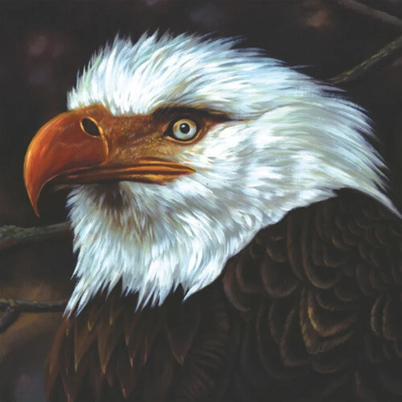 Mogwai - The Hawk Is Howling 2LP