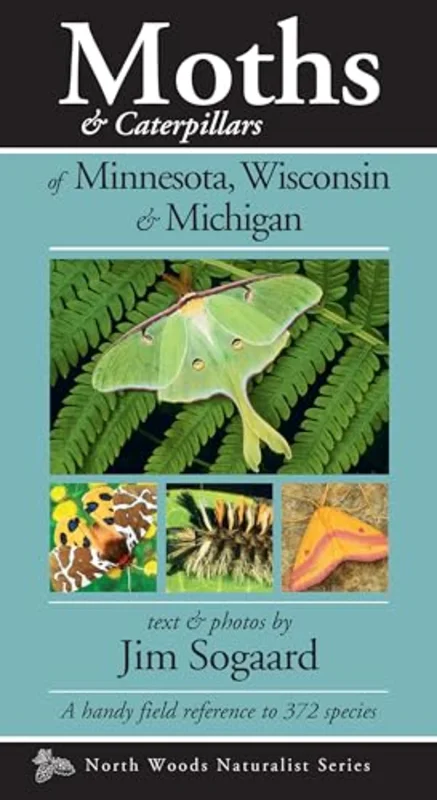 Moths & Caterpillars of Minnesota, Wisconsin & Michigan