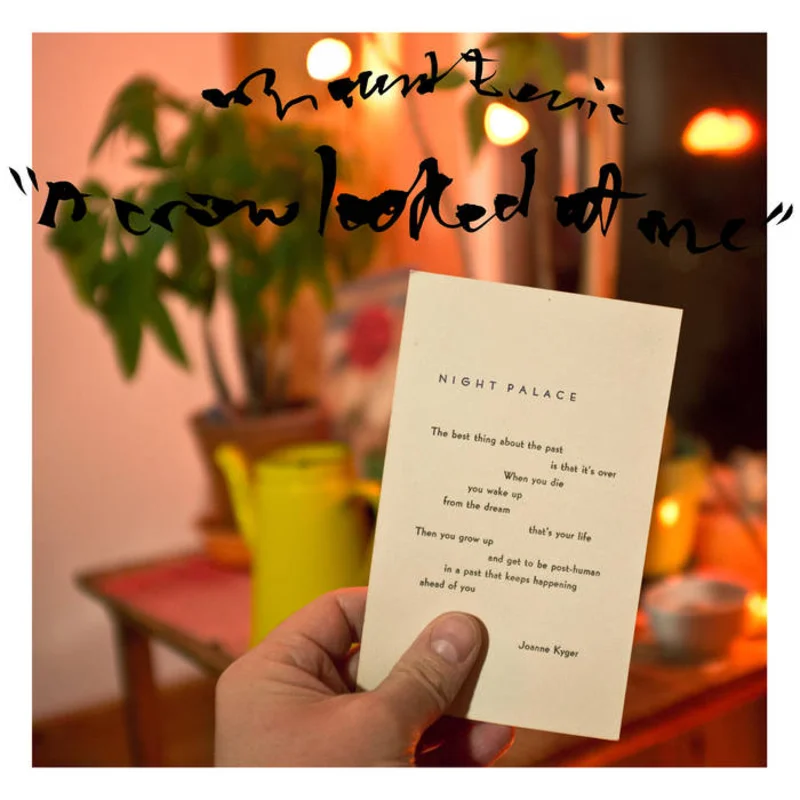 Mount Eerie - A Crow Looked at Me LP
