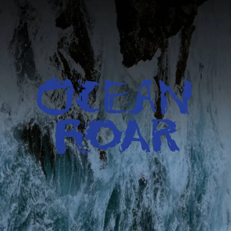 Mount Eerie - Ocean Roar LP