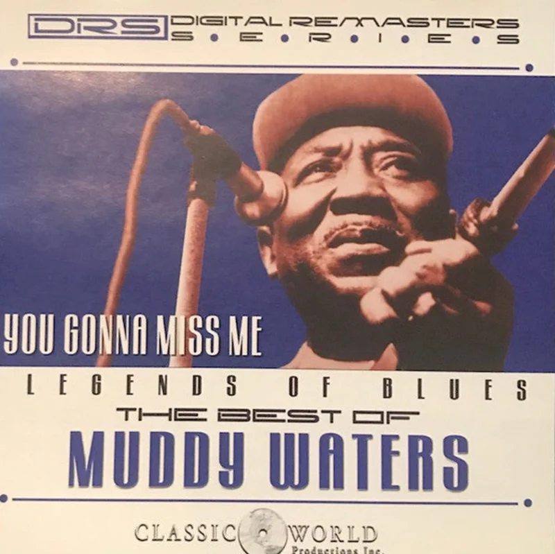 Muddy Waters - The Best Of Muddy Waters (CD)