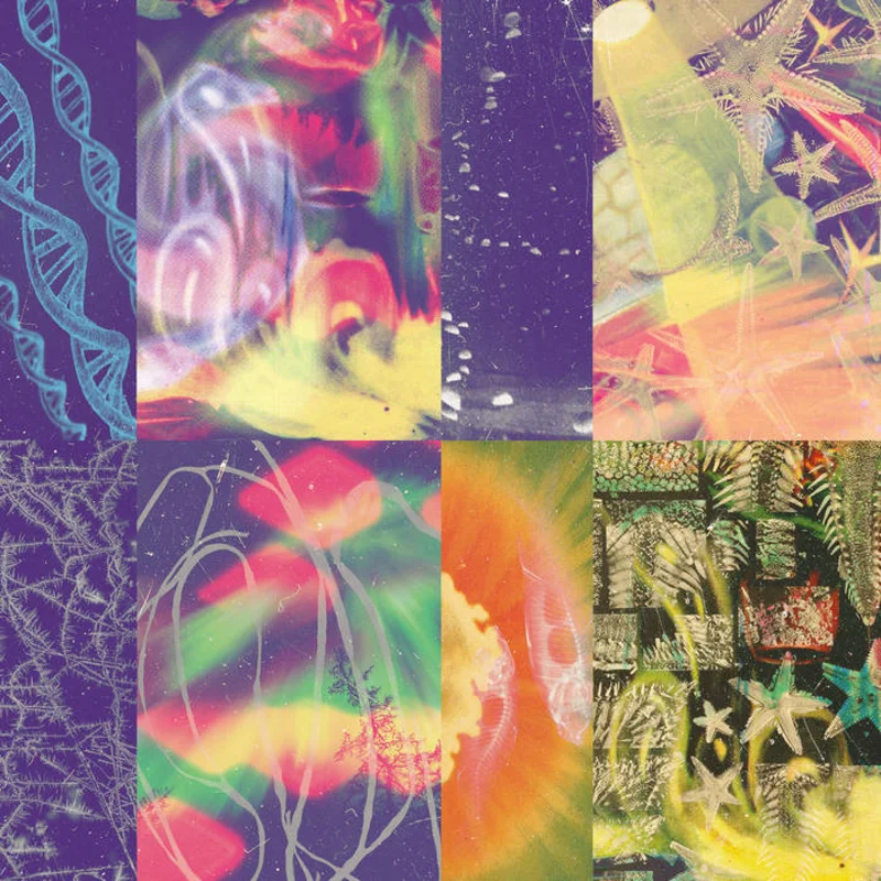 Nap Eyes - The Neon Gate LP