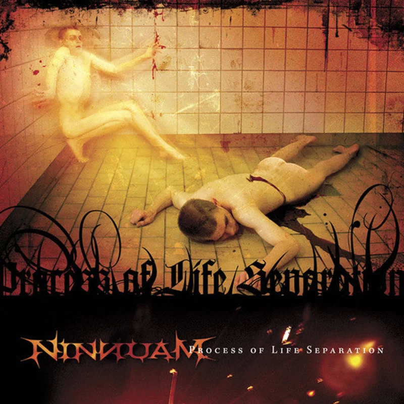 Ninnuam - Process Of Life Separation (CD)