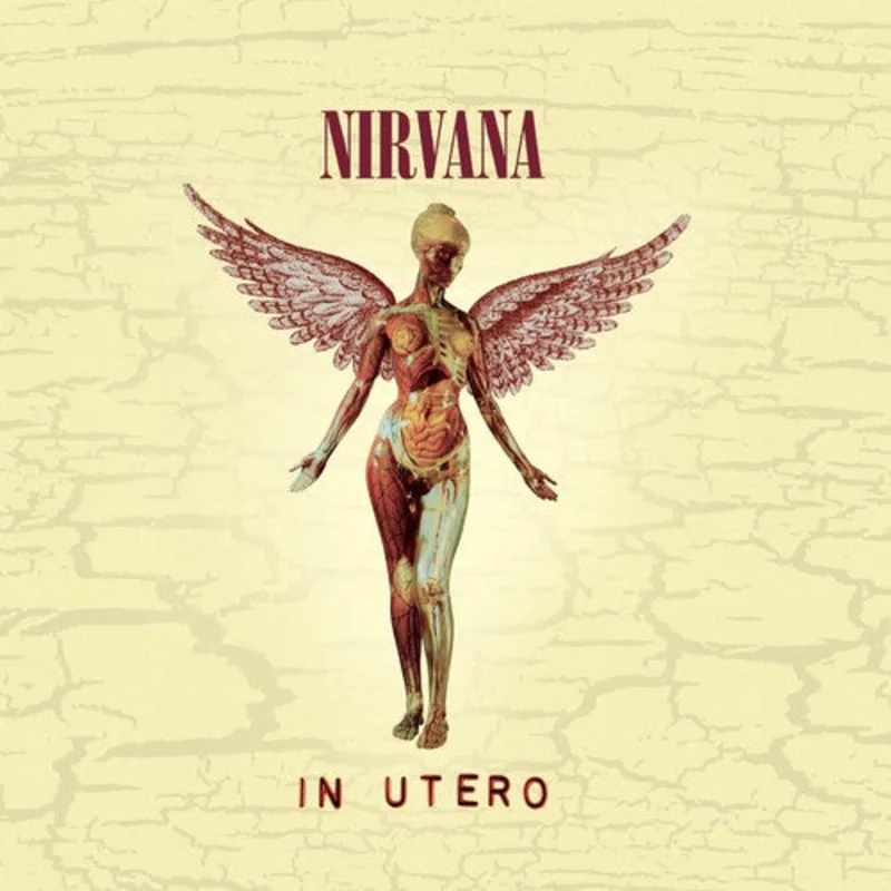 Nirvana-In Utero (20th Anniversary) (CD)