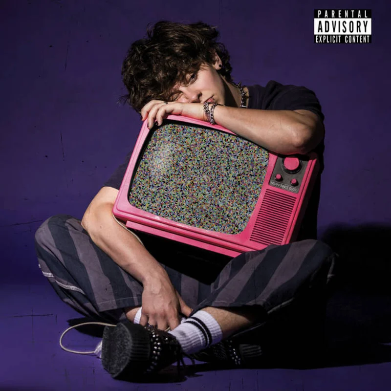 Noahfinnce - Growing Up on the Internet LP