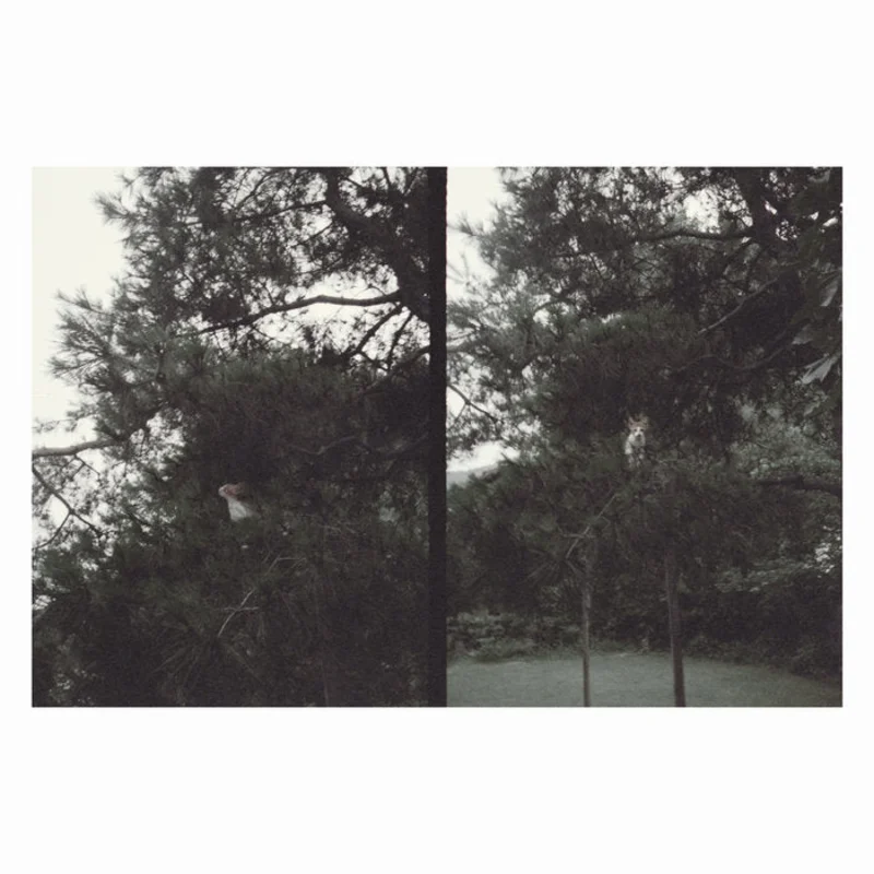 Okkyung Lee - Just Like Any Other Day LP