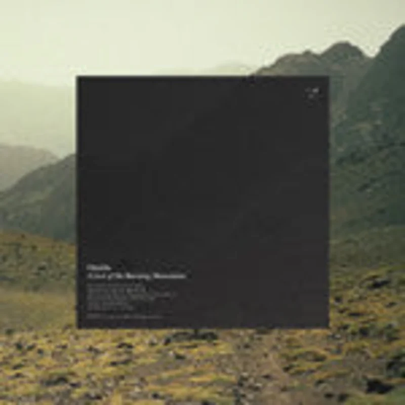 Oneida - A List Of The Burning Mountains (Vinyl)