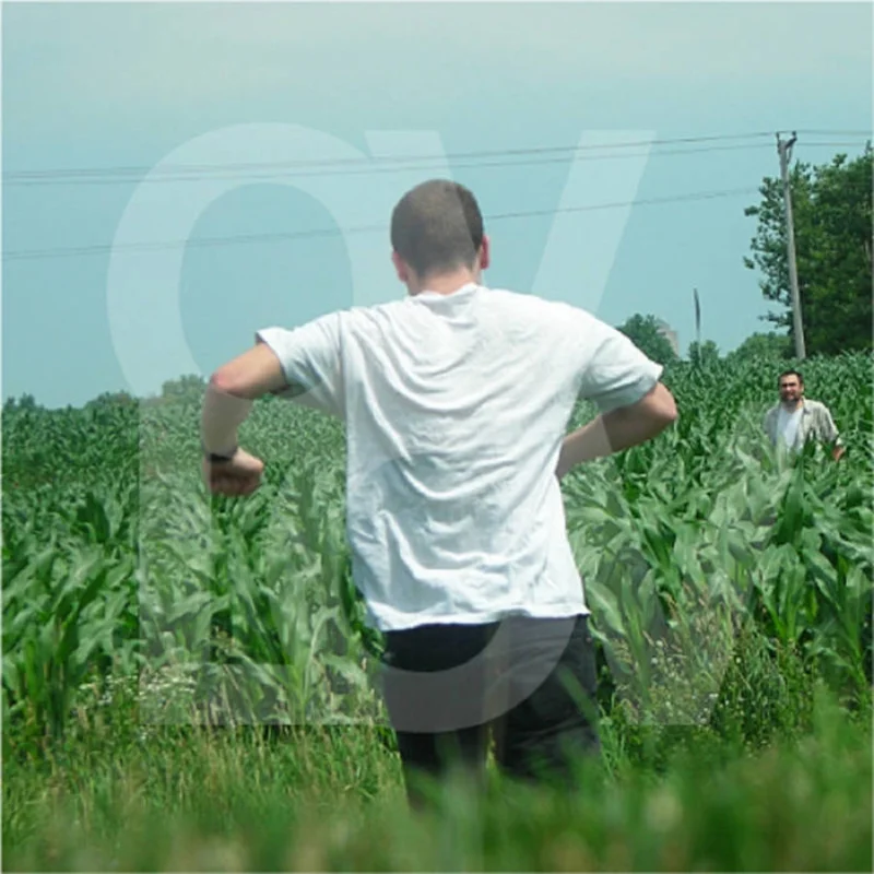 Ovlov - am LP