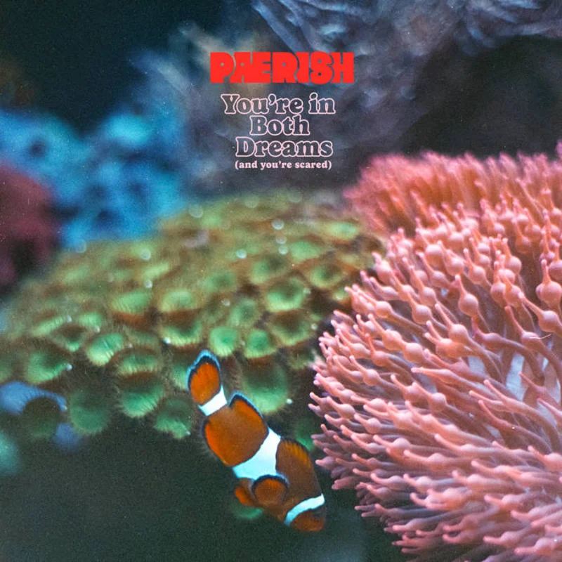 Paerish - You're in Both Dreams (And You're Scared) LP