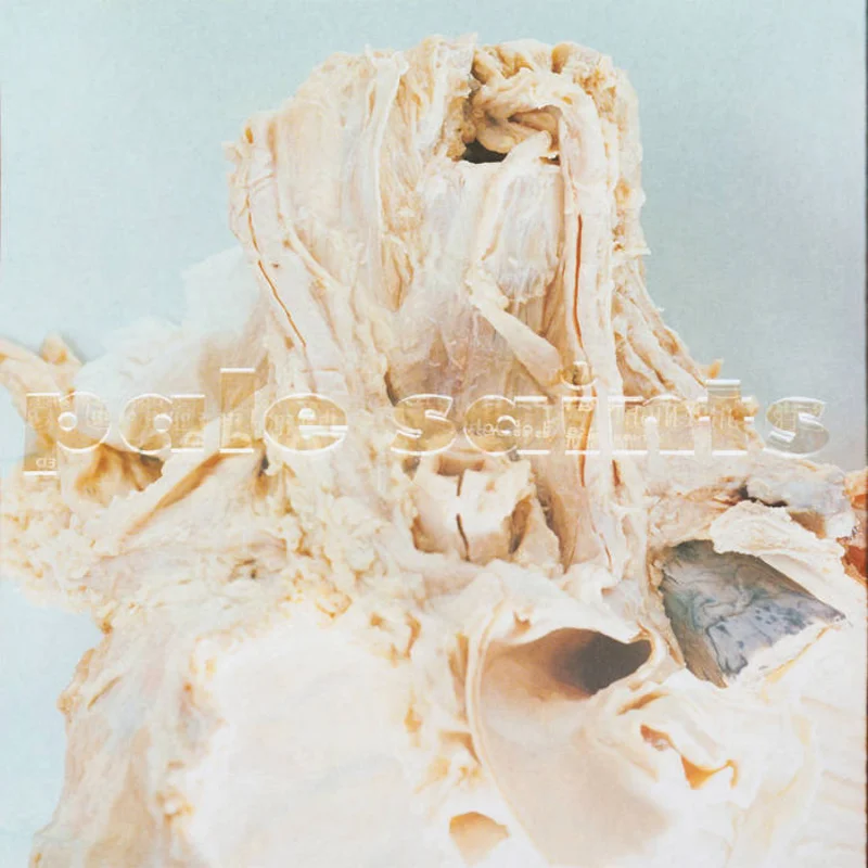 Pale Saints - In Ribbons: 30th Anniversary Reissue LP / DLX 2LP