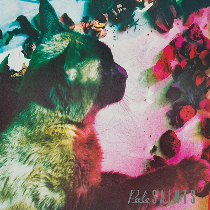Pale Saints - The Comforts of Madness: 30th Anniversay Reissue LP