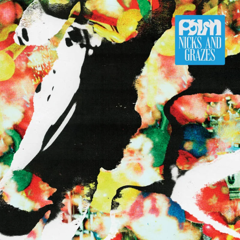 Palm - Nicks and Grazes LP