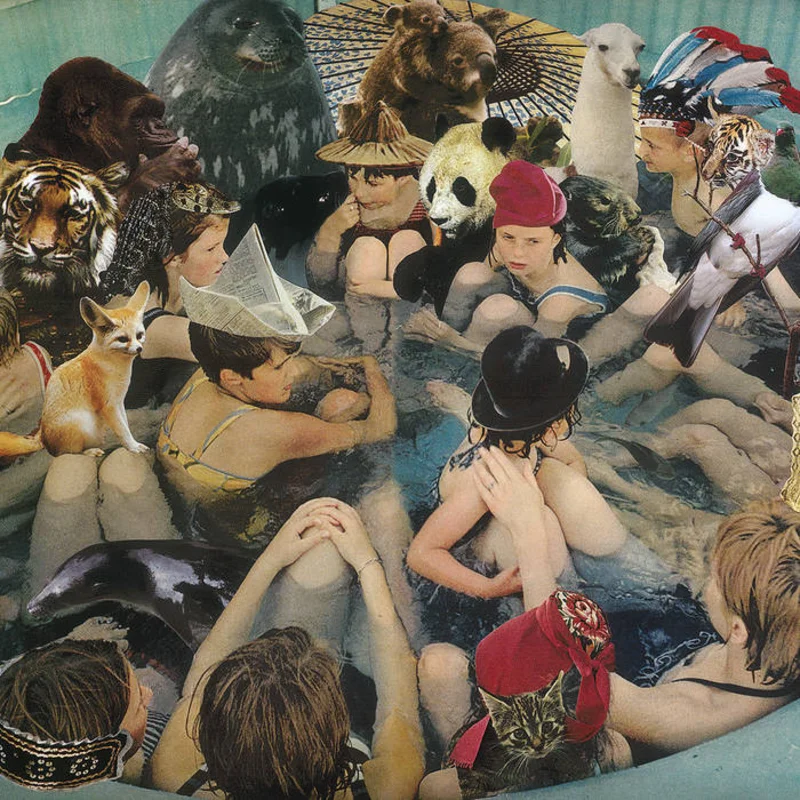 Panda Bear - Person Pitch 2LP