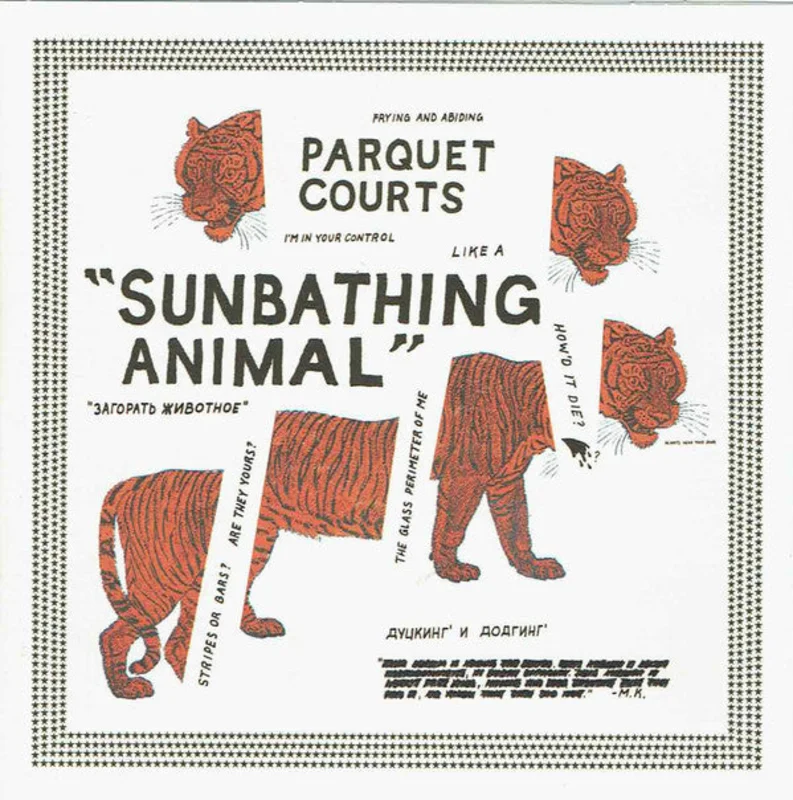 Parquet Courts - Sunbathing Animal (CD)