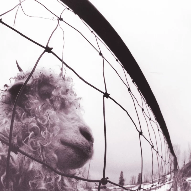 Pearl Jam - Vs.: 30th Anniversary Edition 2LP