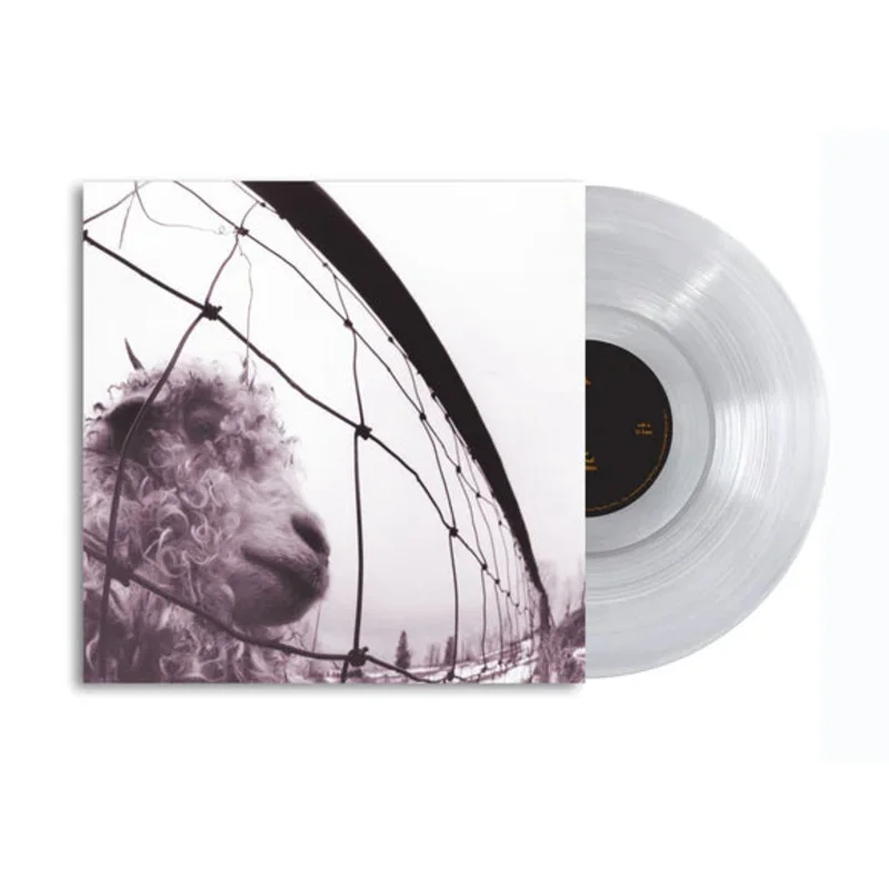 Pearl Jam-Vs. (Clear Vinyl) (LP)