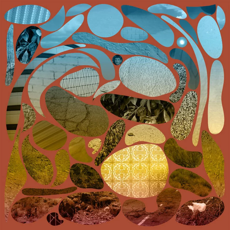 Pedro the Lion - Phoenix LP