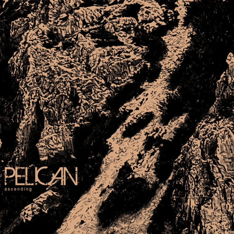 Pelican - Ascending 12"