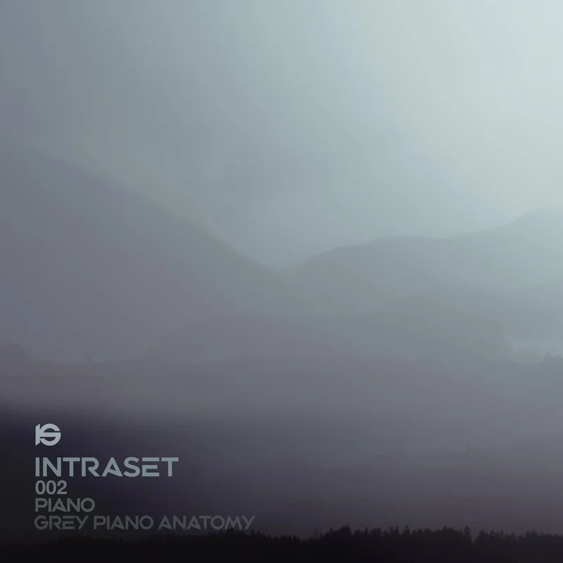 PIANO: Grey Piano Anatomy