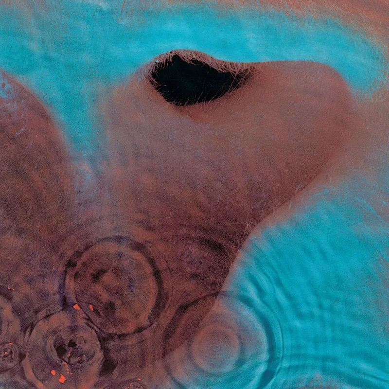 Pink Floyd - Meddle LP