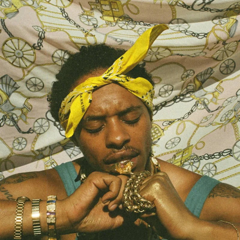 Pink Siifu - Ensley 2LP