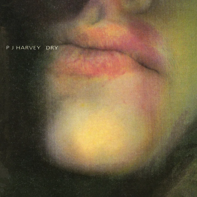 PJ Harvey - Dry LP