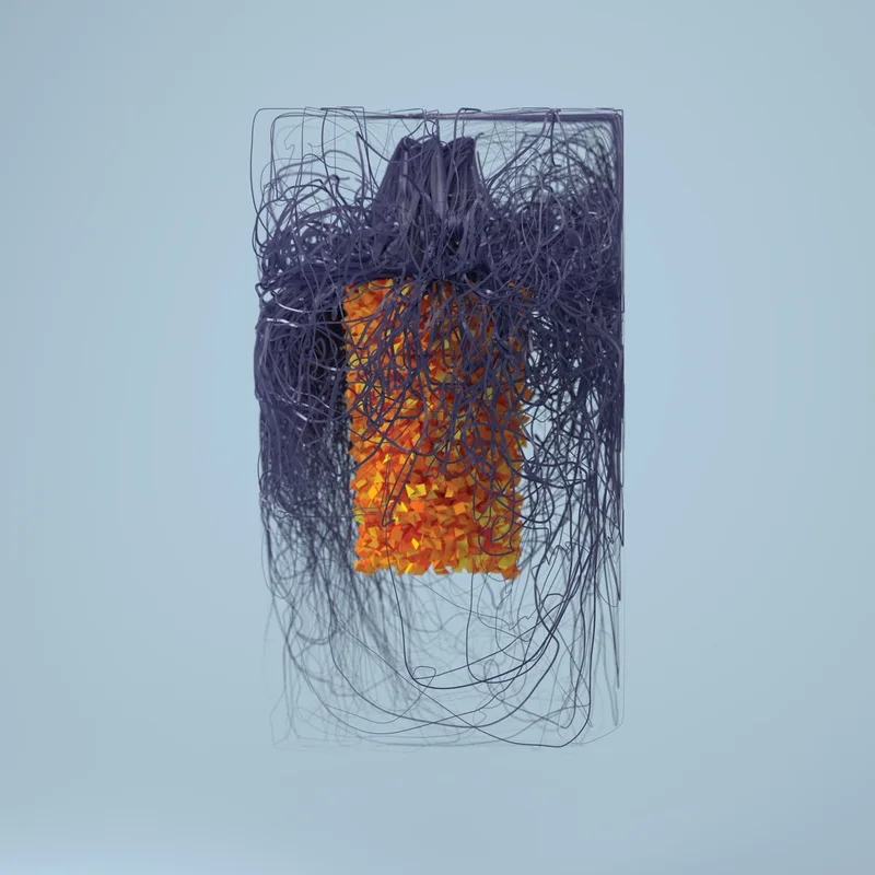 Plaid - Polymer 2LP