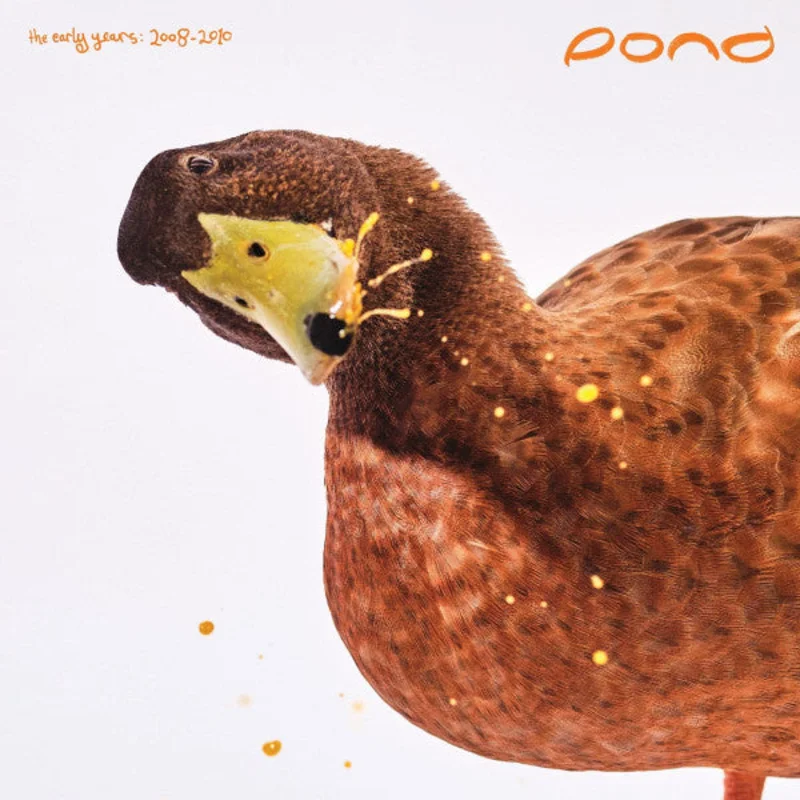 Pond - The Early Years: 2008 - 2010 (Vinyl)