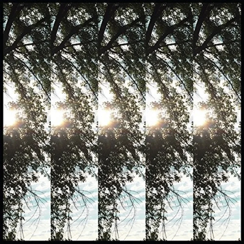 Pontiak - Dialectic of Ignorance LP