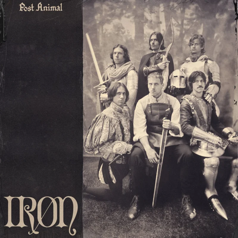 Post Animal - Iron LP