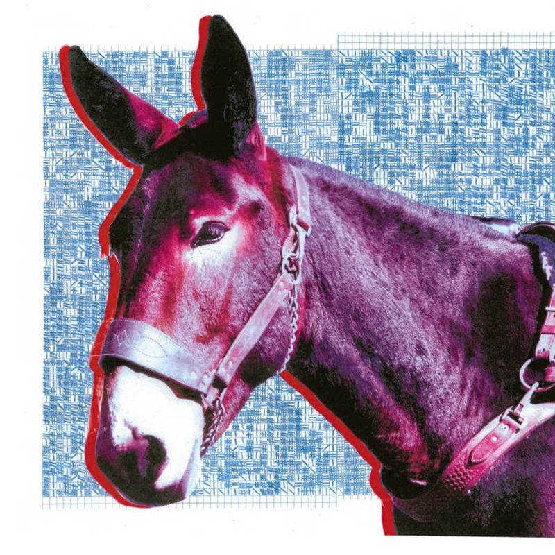 Protomartyr - Ultimate Success Today LP
