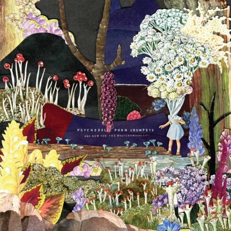 Psychedelic Porn Crumpets - And Now For The Whatchamacallit LP