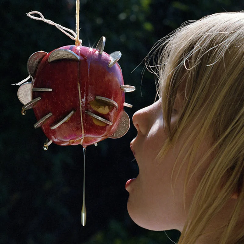 Puce Mary - The Drought LP