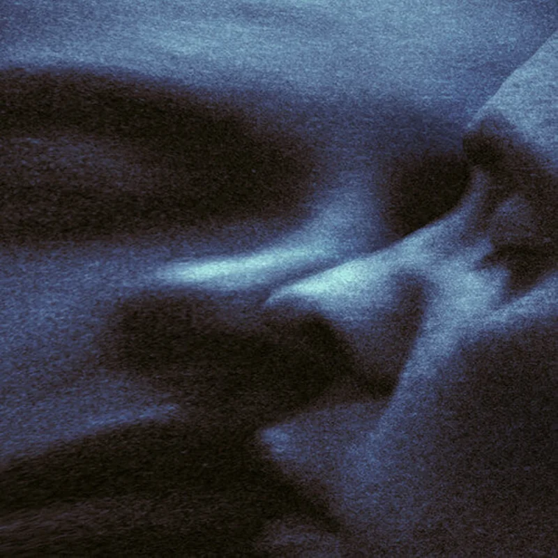 Puma Blue-Croak Dream (INEX) (Black & White Vinyl) (LP)
