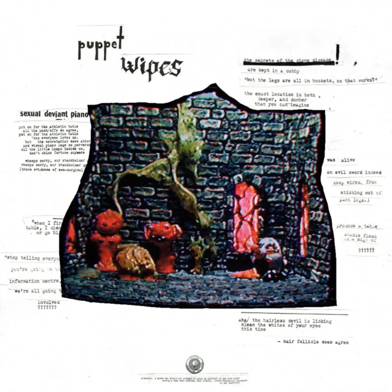 Puppet Wipes - The Stones Are Watching And They Can Be A Handful LP