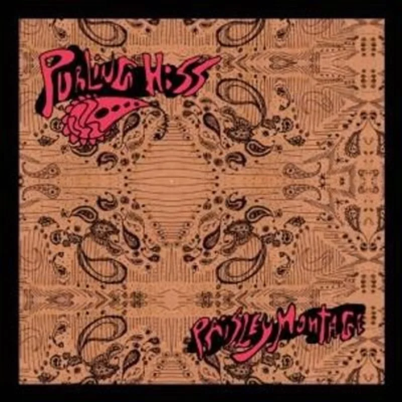Purling Hiss - Paisley Montage LP