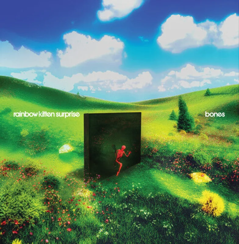 Rainbow Kitten Surprise-Bones (INEX) (Banana Yellow LP)